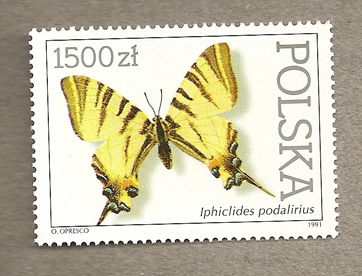 Mariposas