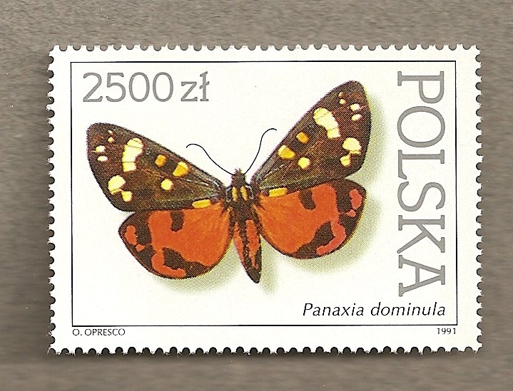 Mariposas