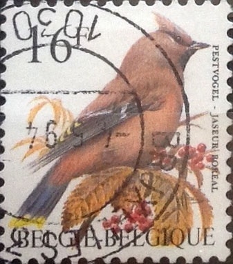 Intercambio 0,25 usd 16 francos 1994