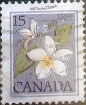 Intercambio 0,20 usd 15 cents. 1979
