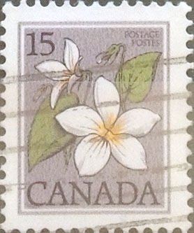 Intercambio 0,20 usd 15 cents. 1979