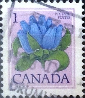 Intercambio 0,20 usd 1 cents. 1979