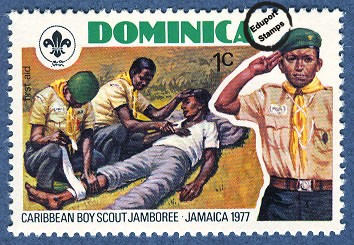 Jamboree de Scouts del Caribe en Jamaica