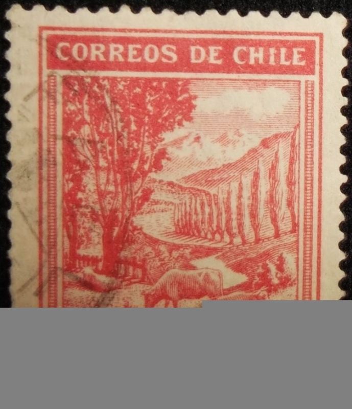 Intercambio 0,20 usd 17 cents. 1980