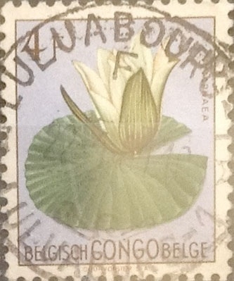 Intercambio 0,20 usd 4 francos 1952