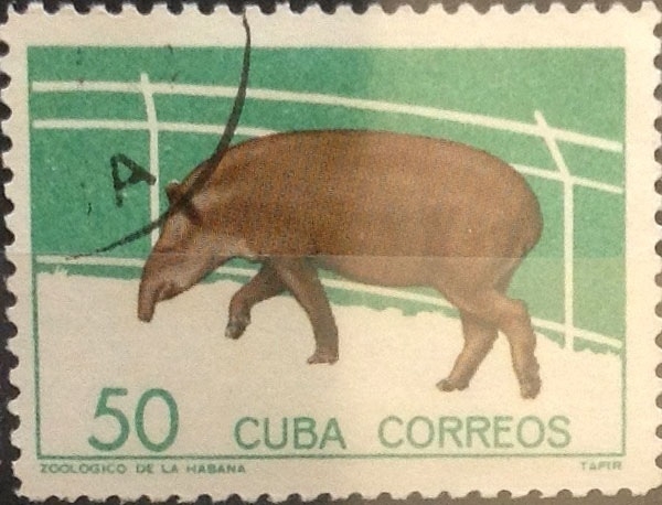 Intercambio 0,75 usd 50 cents. 1964
