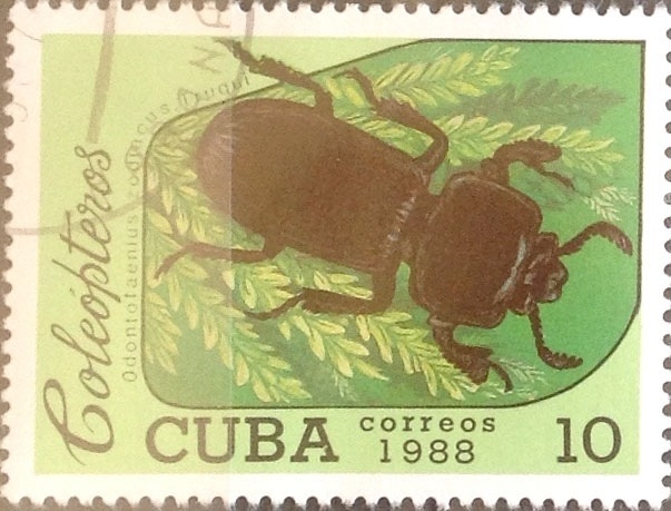 Intercambio m1b 0,20 usd 10 cents. 1988