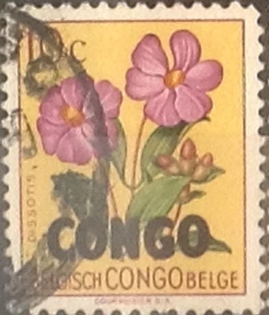 Intercambio nf4xb1 0,20 usd 10 cents. 1960