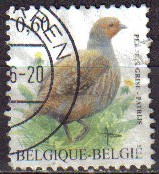 BELGICA 2005 Michel 3431 SELLO ANIMALES PAJAROS AVES PERDIZ GRIS