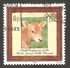 186 - Vaca jersiana