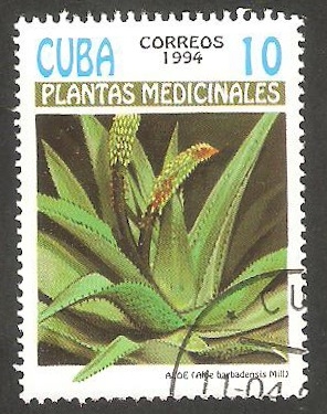 Planta medicinal