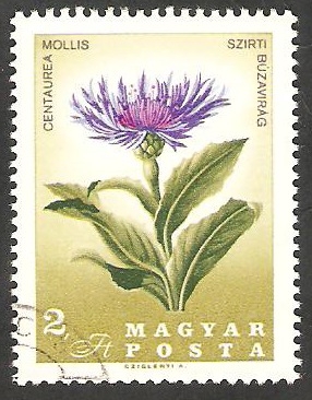 1884 - 150 anivº de la muerte del botánico Pal Kitaibel, flor centaurea mollis