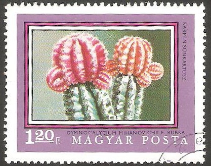  2181 - 200 anivº del jardin botanico de la Universidad de Budapest