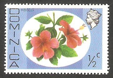447 - Flor hibiscus