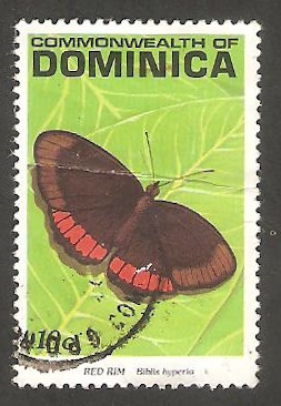 1298 - Mariposa