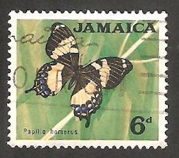  230 - Mariposa papino homerus