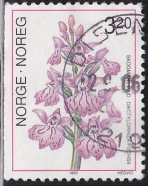 995 - Orquídeas