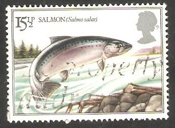 1067 - Salmón