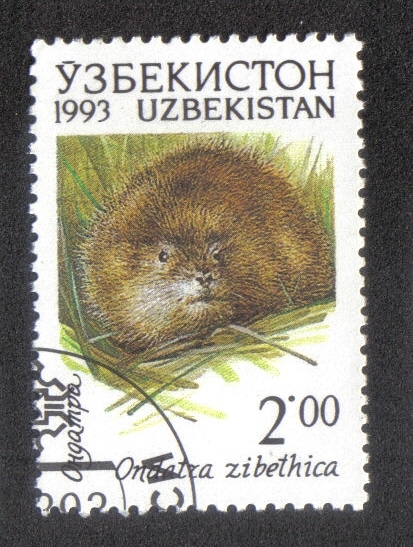 Fauna of Uzbekistan