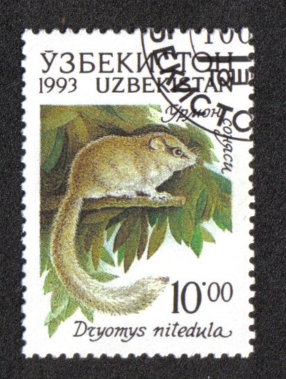 Fauna of Uzbekistan