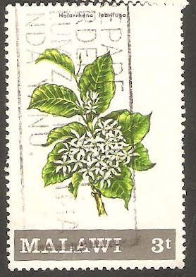 169 - Flor