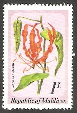 776 - Flor salvaje gloriosa superba