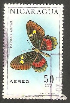 583 - Mariposa arcas