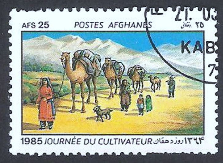 1212 - Día del agricultor, familia y camellos