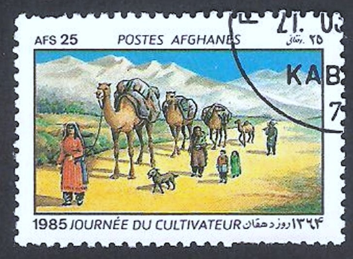 1212 - Día del agricultor, familia y camellos