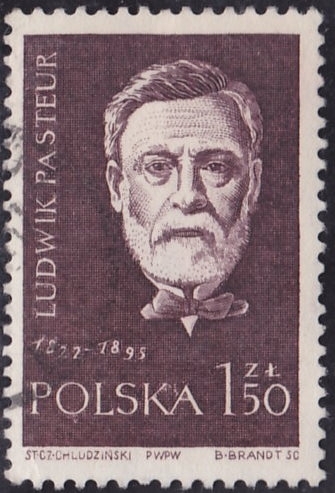 1000 - Louis Pasteur