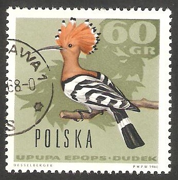 1572 - Pájaro