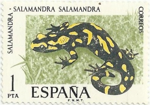 FAUNA HISPANICA. SALAMANDRA COMUN. Salamandra salamandra. EDIFIL 2272