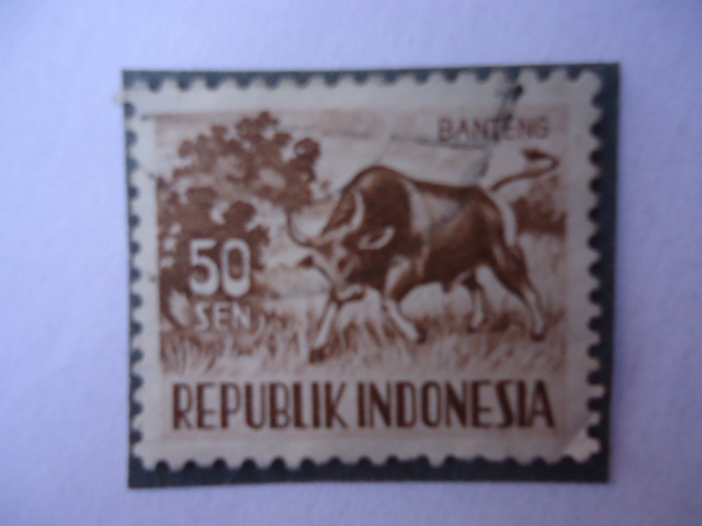 Banteng - Republik Indonesia.