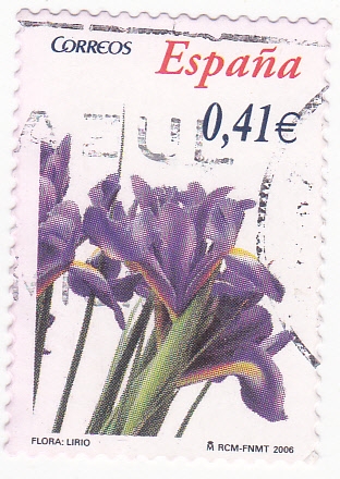 flora- lírio (20)