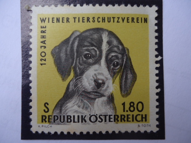 120 jahre Wiener Tierschutzverein - Republik Osterreich.