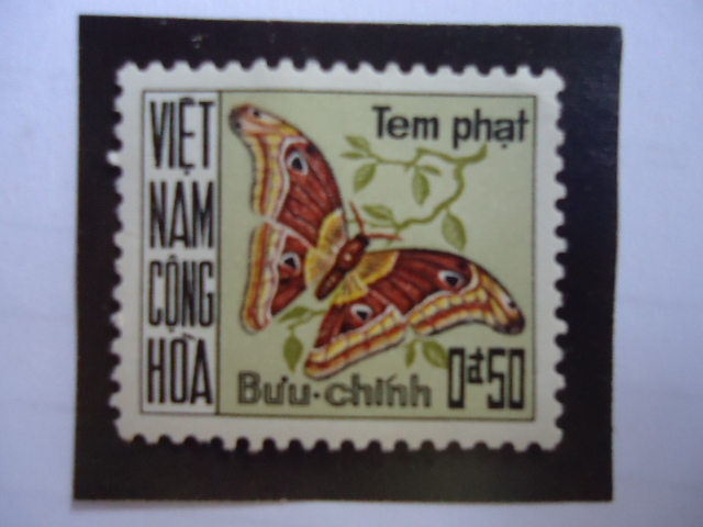 tem Phat - Buu-Chinh
