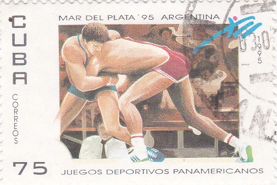 juegos deportivos panamericanos
