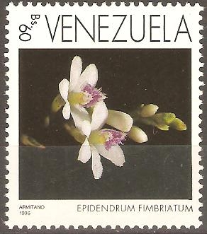 ORQUÌDEAS.  EPIDENDRUM  FIMBRIATUM.