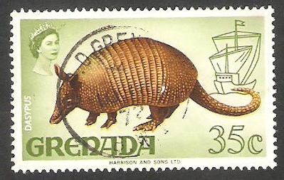 292 - Elizabeth II, fauna dasypus