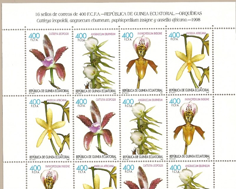 FLORA -   Orquídeas