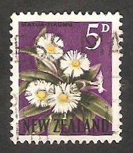 388 A - Flor matua tikumu