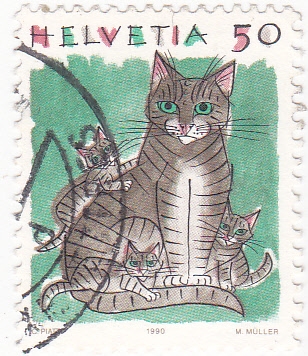 dibujo de un gato