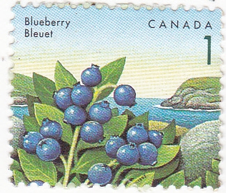 fruta-blueberry