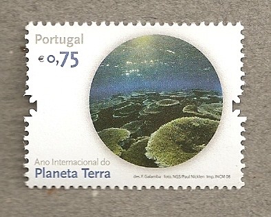 Planeta tierra