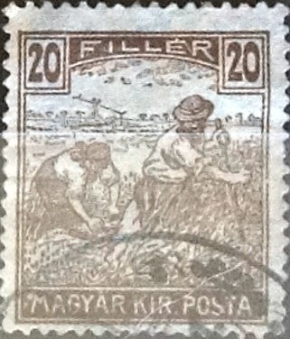20 filler  1916
