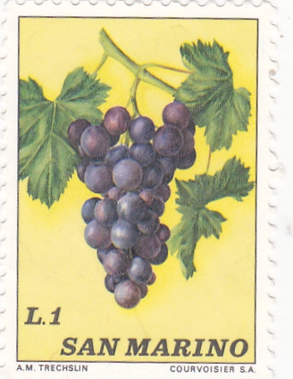 flora- racimo de uva