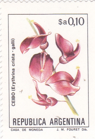 flora- ceibo