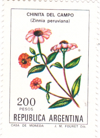 flora- chinita del campo