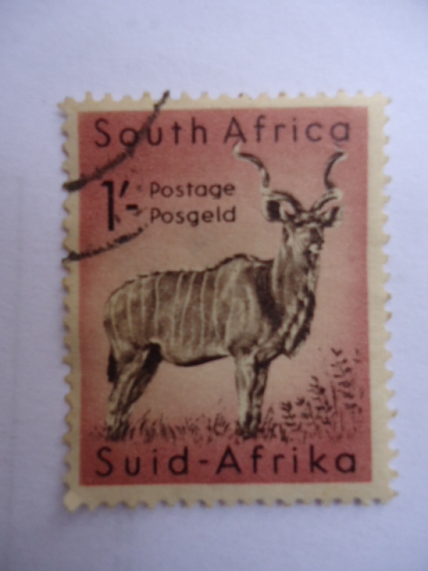 Suid- Afrika. (Scott208)