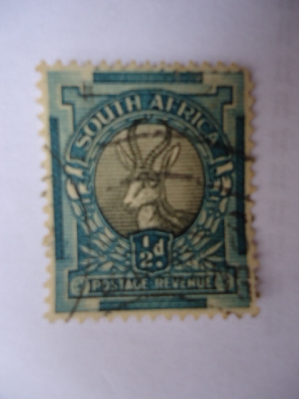Suid-Afrika- Animales Salvajes-Antílope (Yvert 66) 1926.